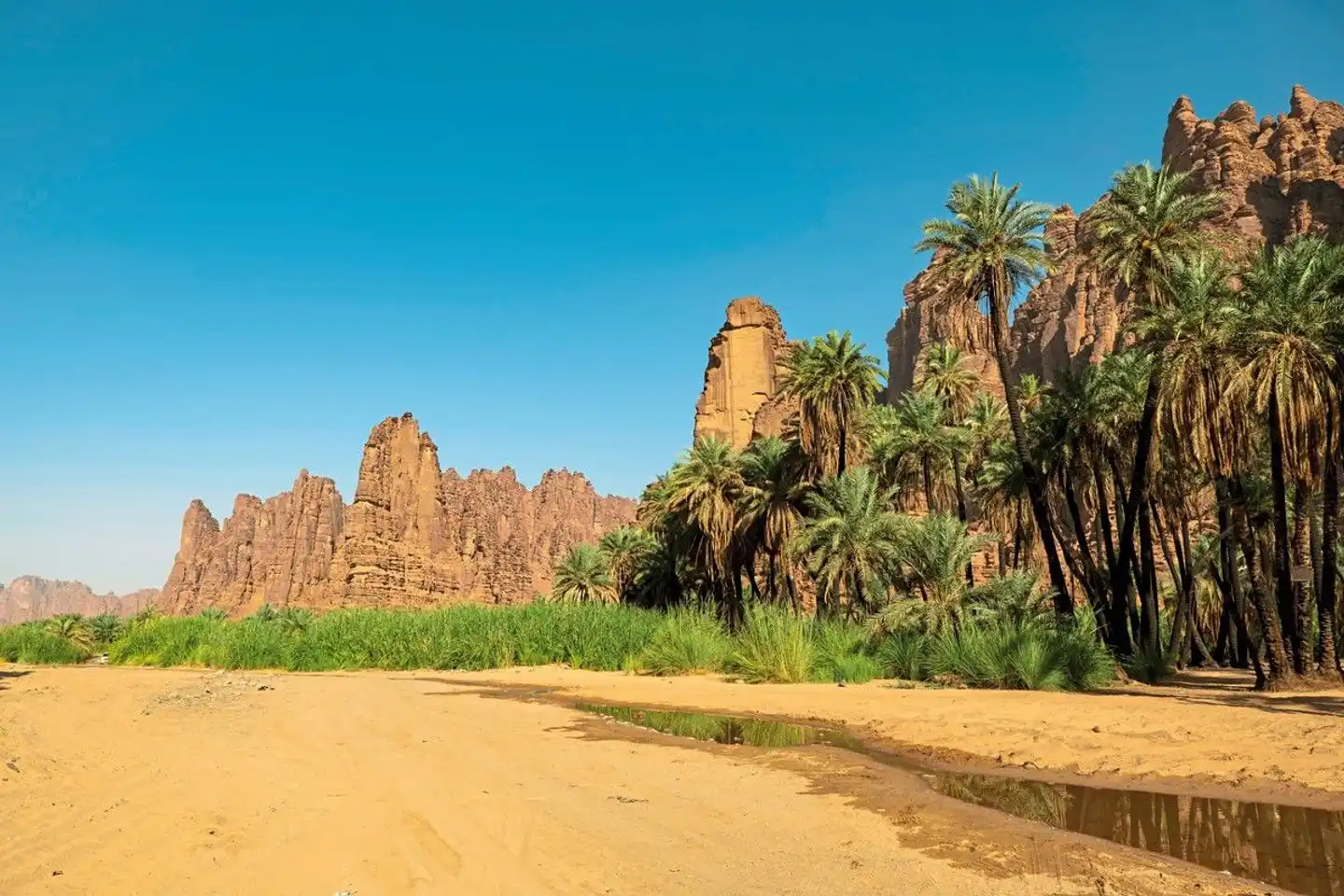 Saudi-Arabien zum Kennenlernen Landschaft