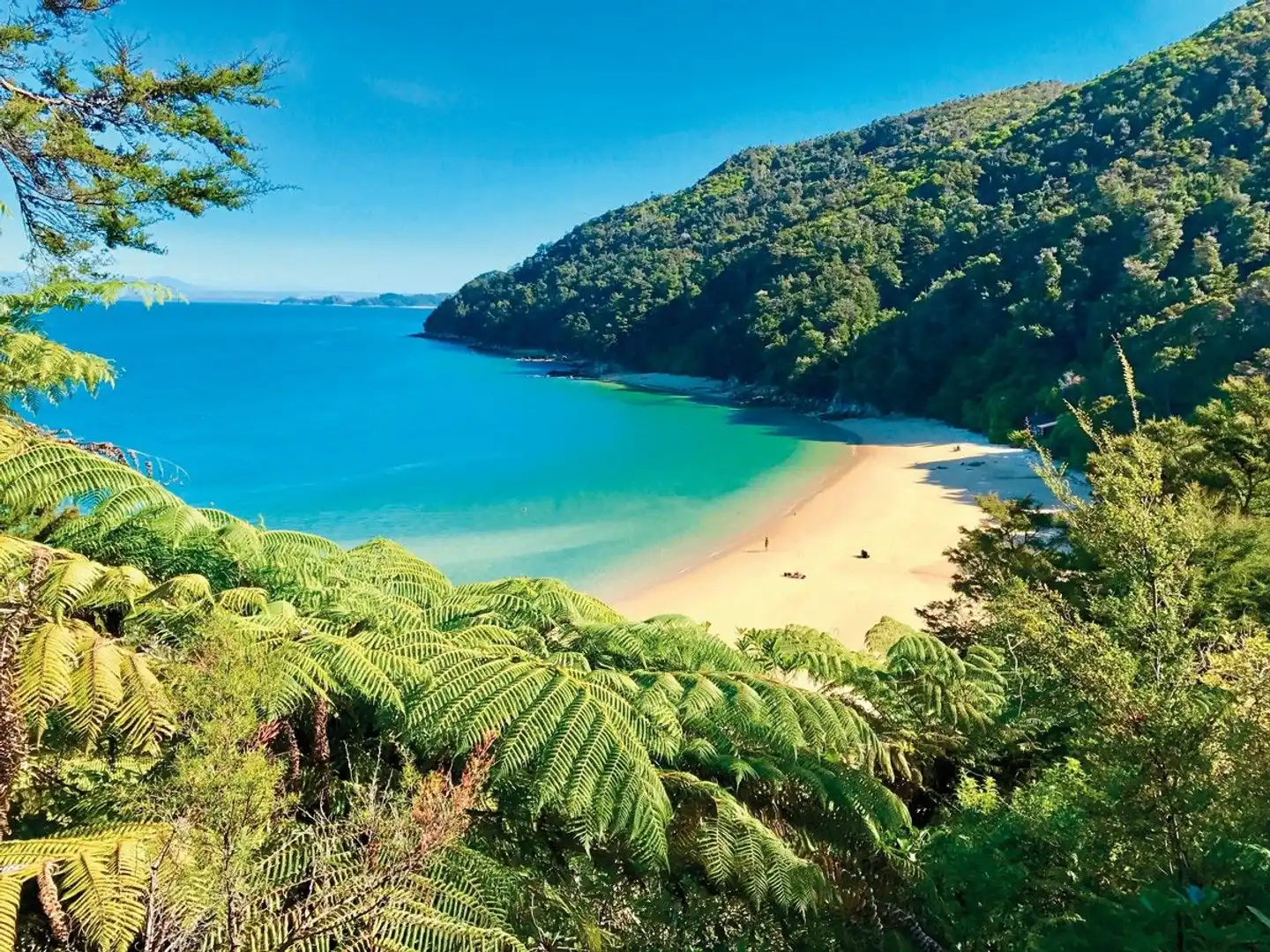 Neu(see)land entdecken (Christchurch - Auckland) Strand