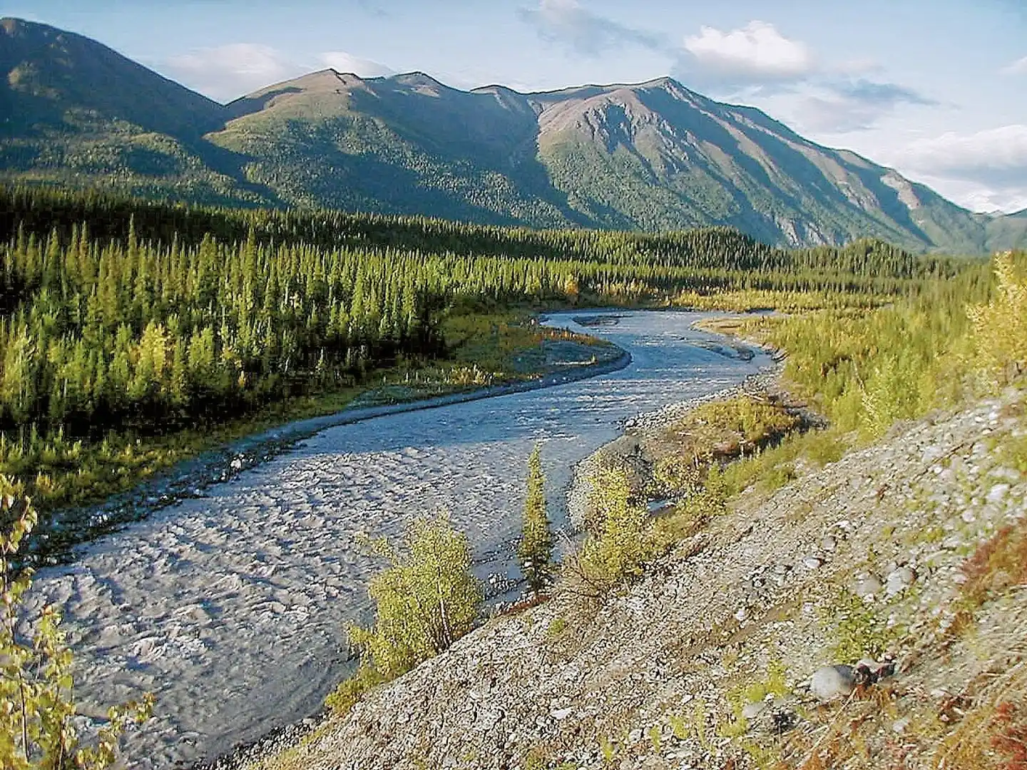 Alaska Intensiv Landschaft