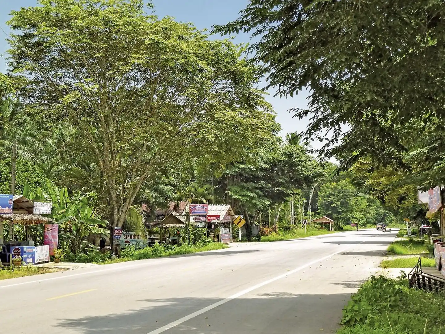 Südthailand auf 4 Rädern Garten