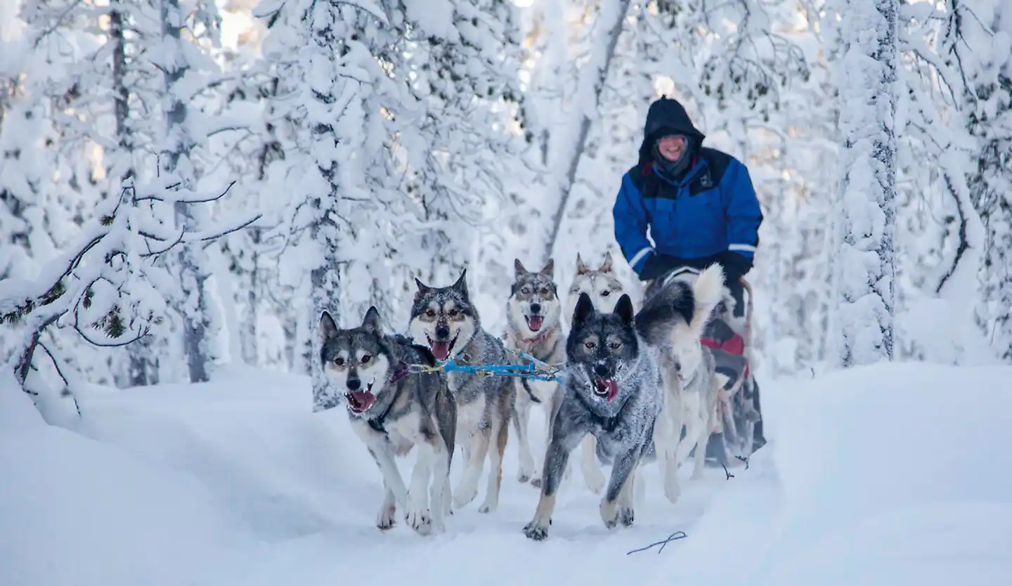Wintererlebnis Saariselkä Sport und Entertainment