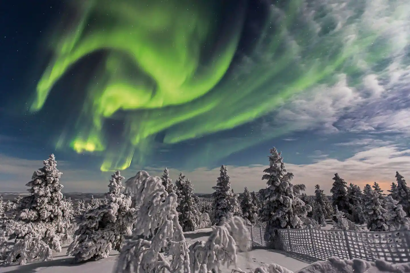 Wintererlebnis Saariselkä Landschaft