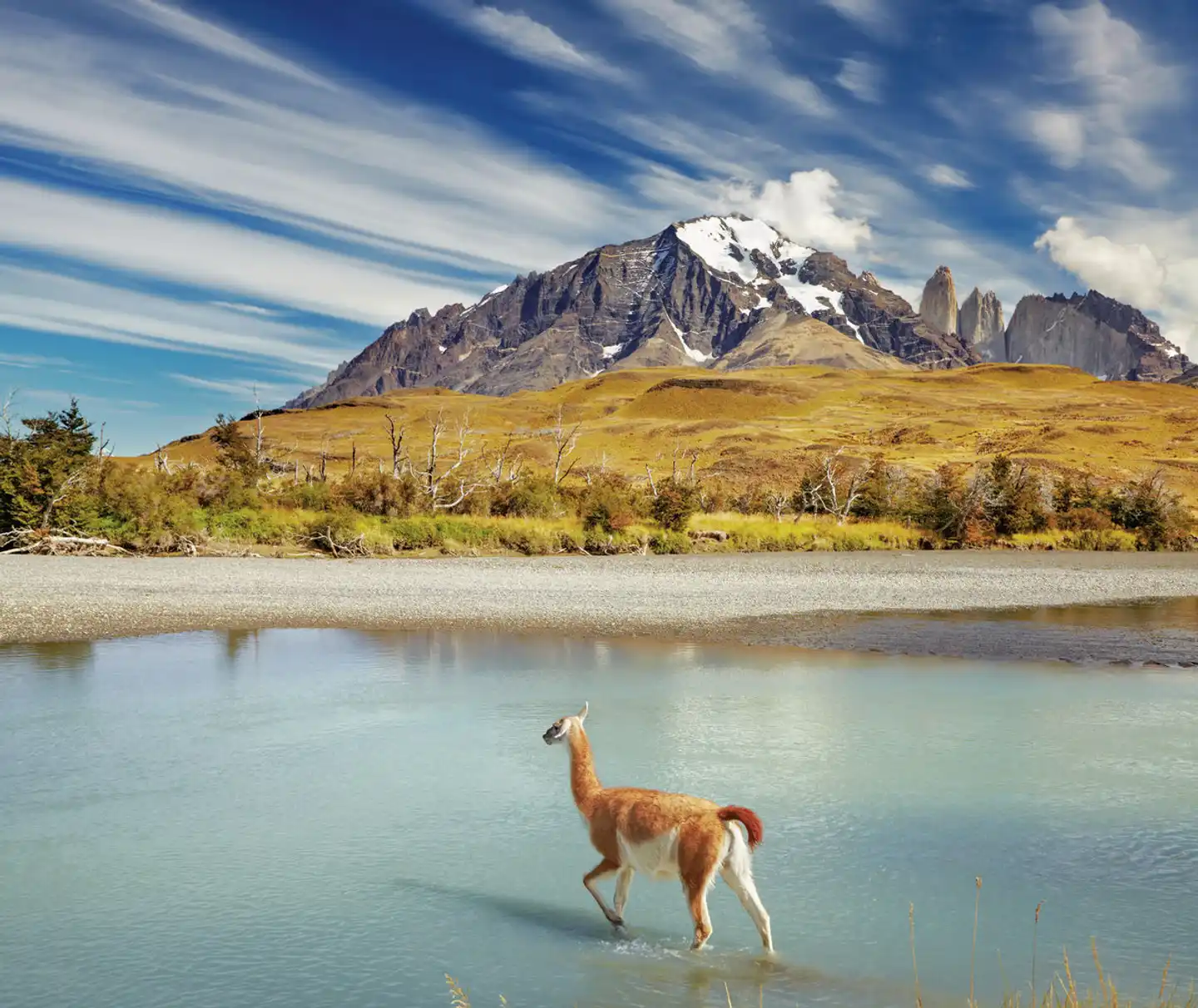 Aktiverlebnis Torres del Paine Nationalpark Landschaft