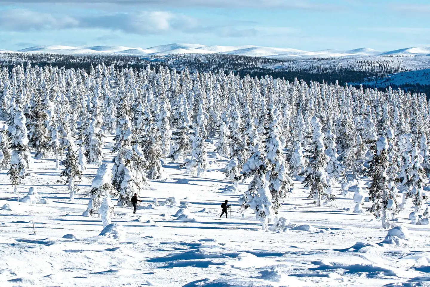 Wintererlebnis Saariselkä Landschaft