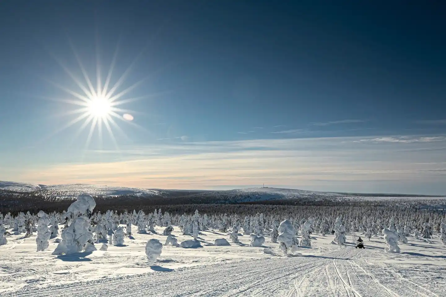 Wintererlebnis Saariselkä Landschaft