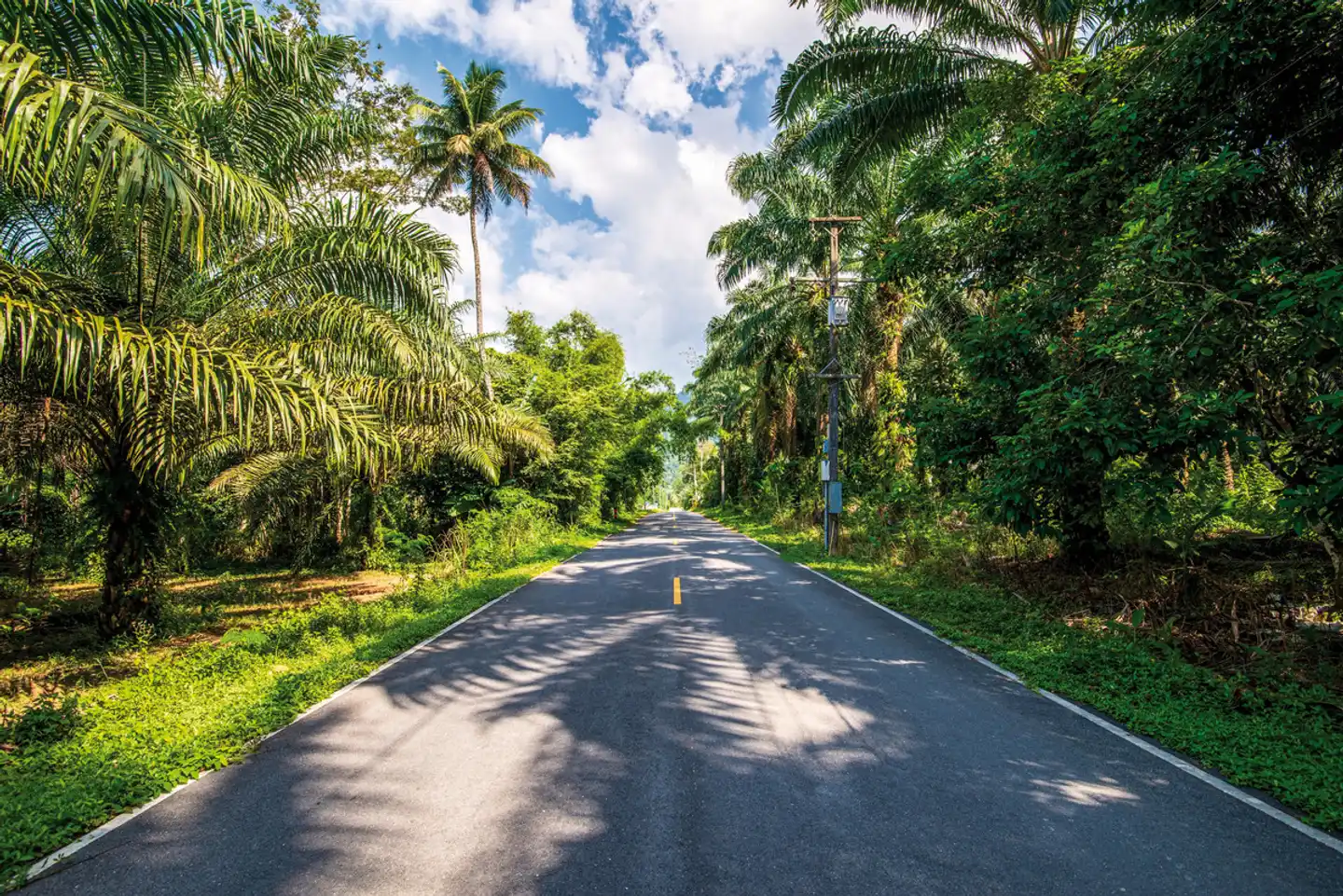 Südthailand auf 4 Rädern Landschaft