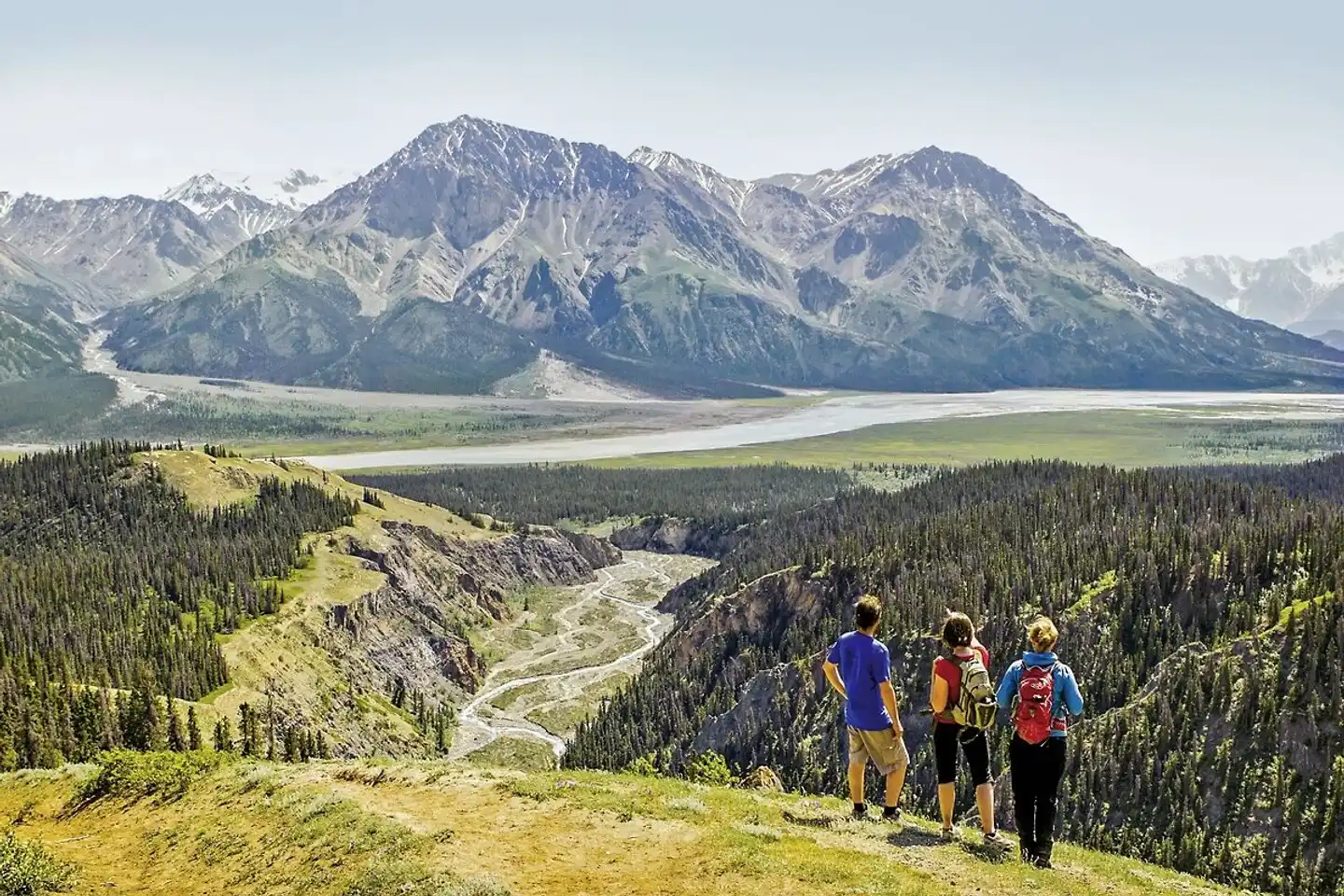 Yukon & Dempster Explorer Landschaft