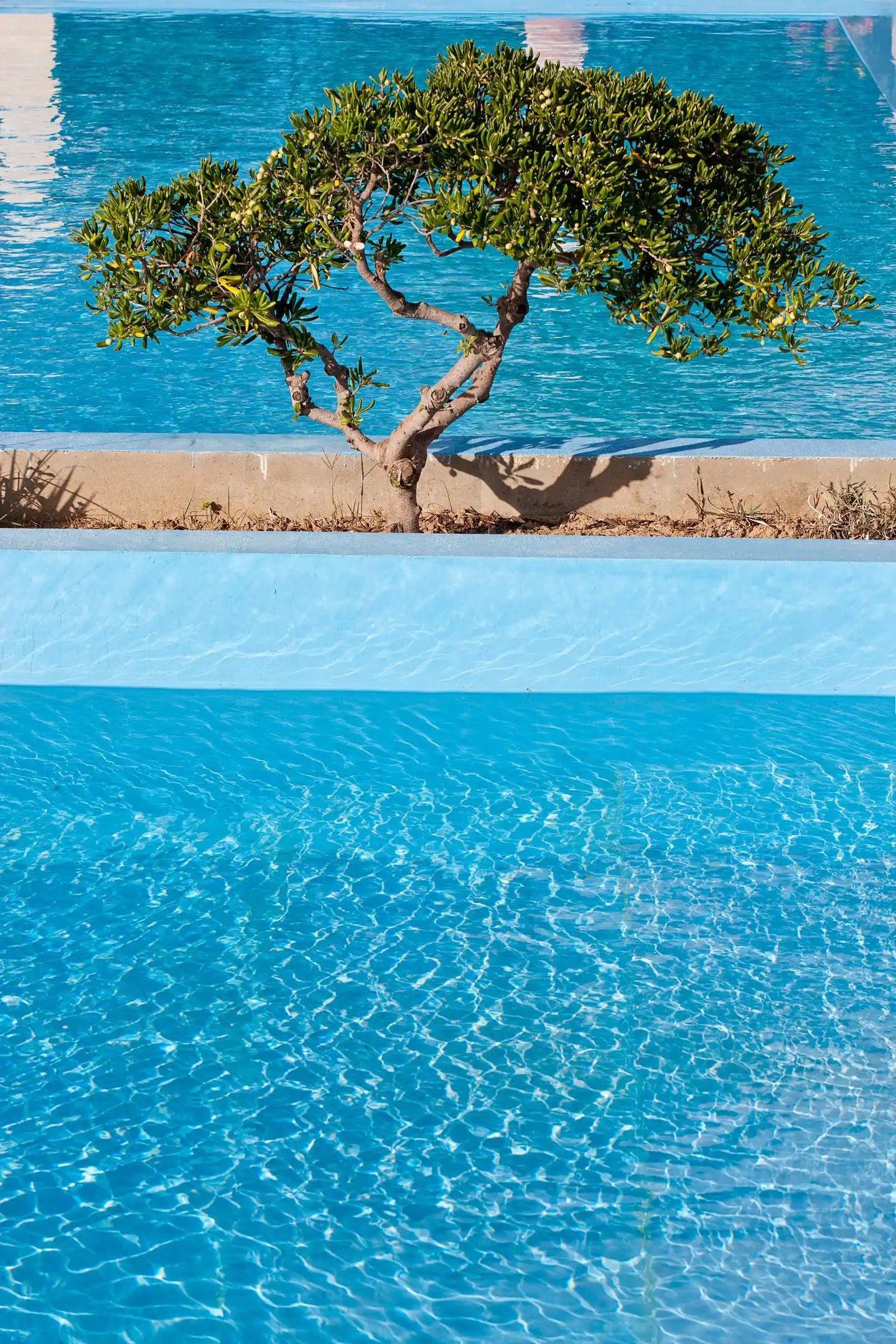 Mrs Chryssana Beach Pool