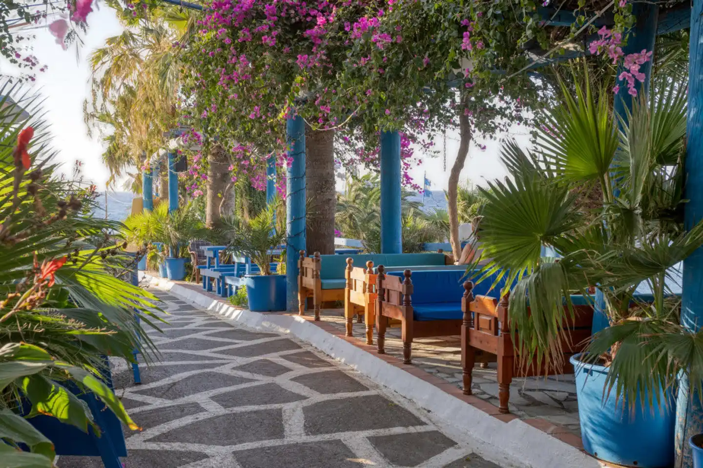 Palm Bay Terrasse