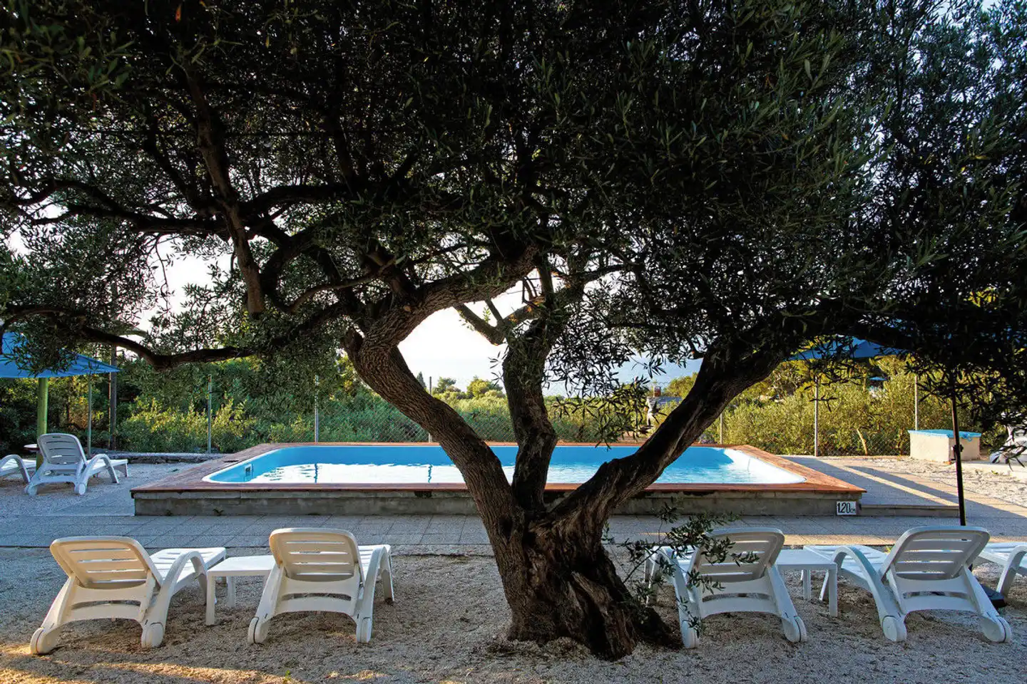 Watermann Beach Village Camp & Glamping Garten