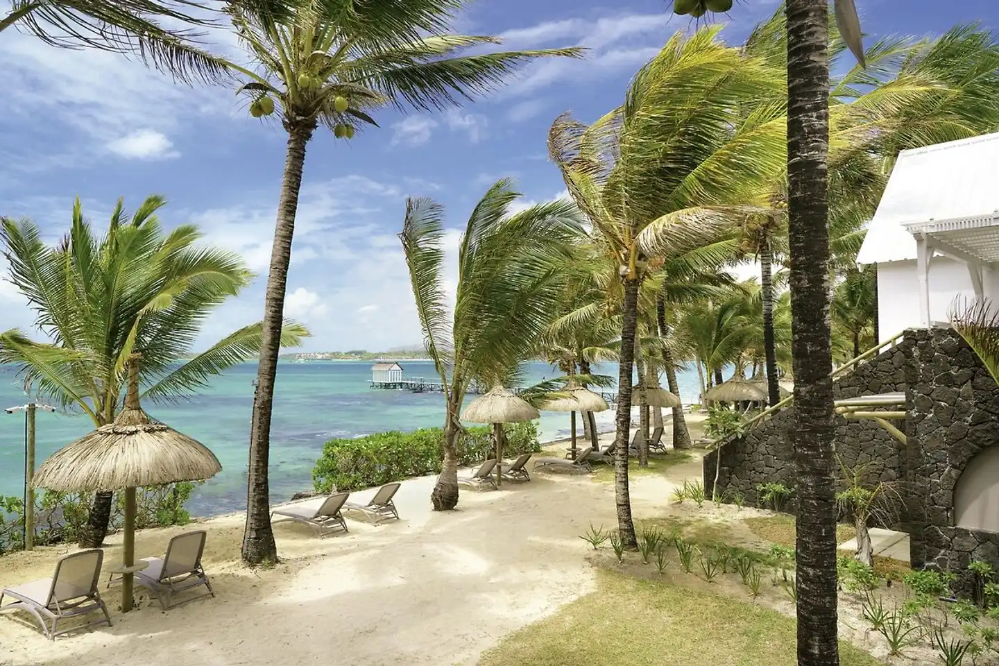 Tropical Attitude Terrasse