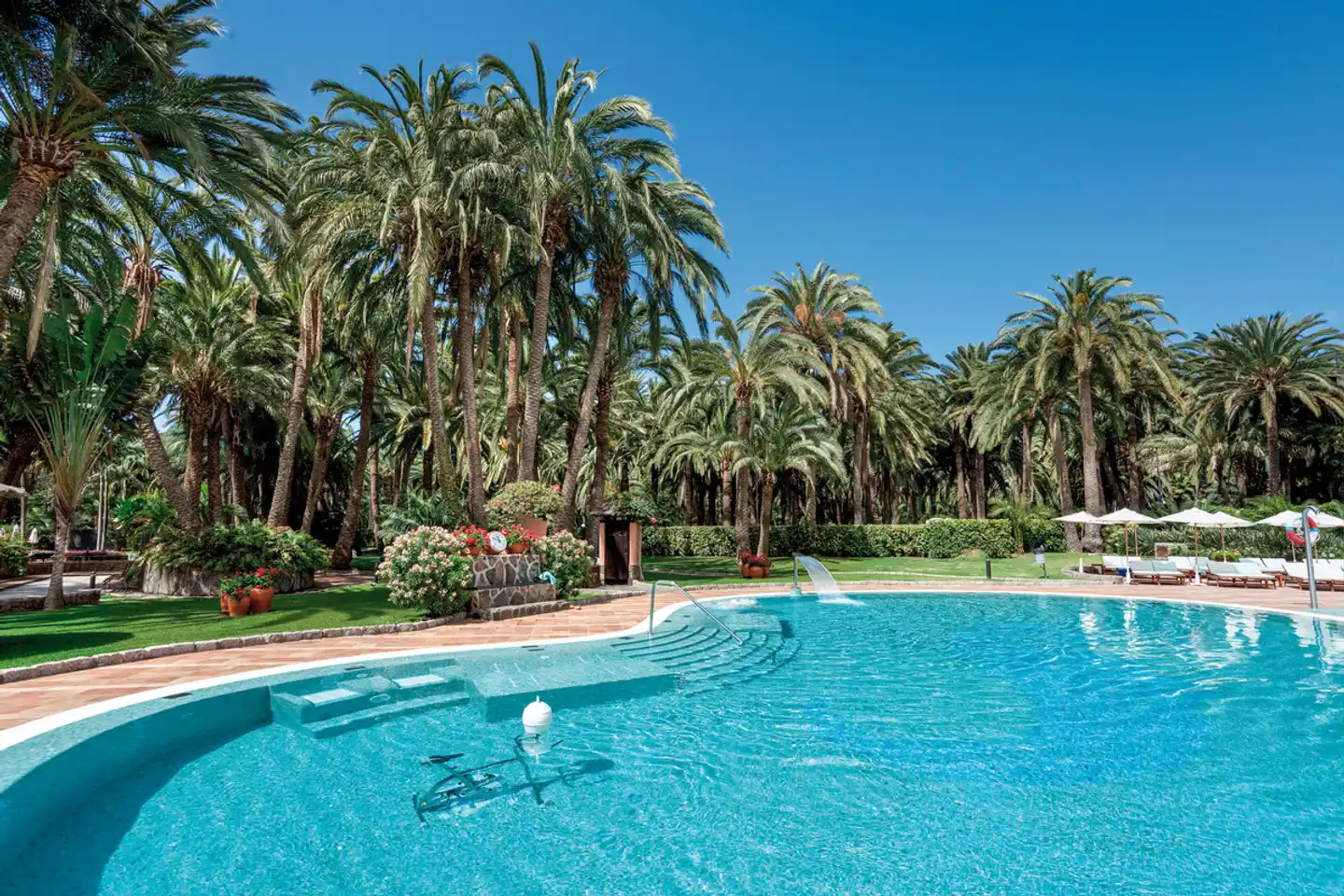 Seaside Palm Beach Pool