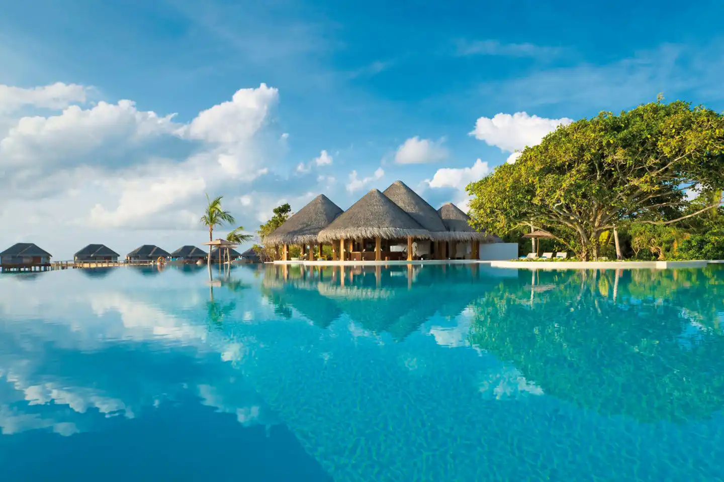 Dusit Thani Maldives Pool