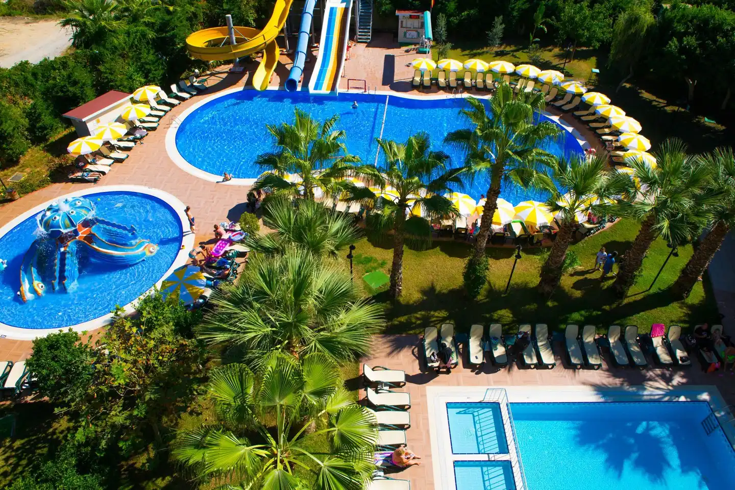 Gardenia Beach Pool