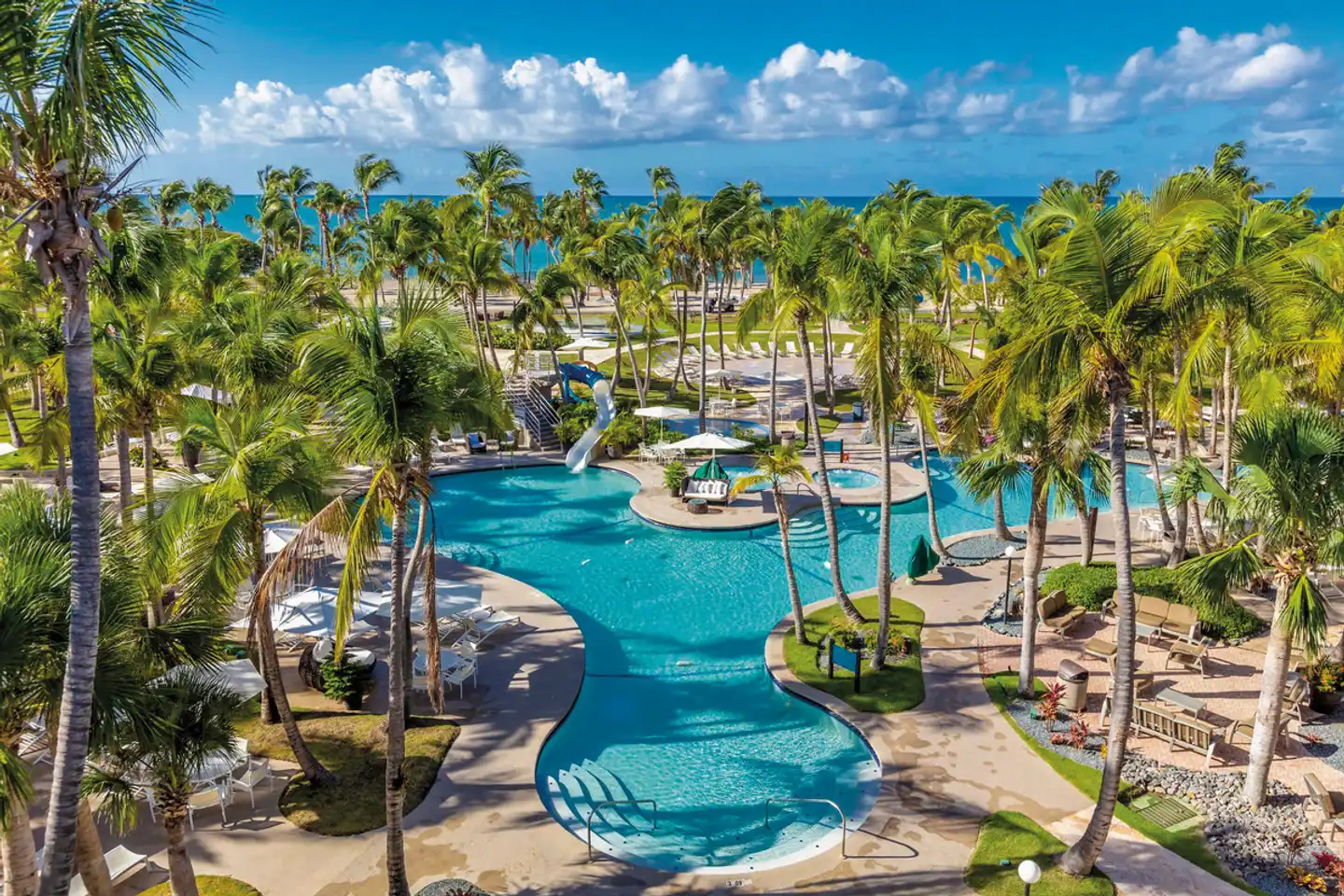 Hilton Ponce Golf & Casino Resort Pool