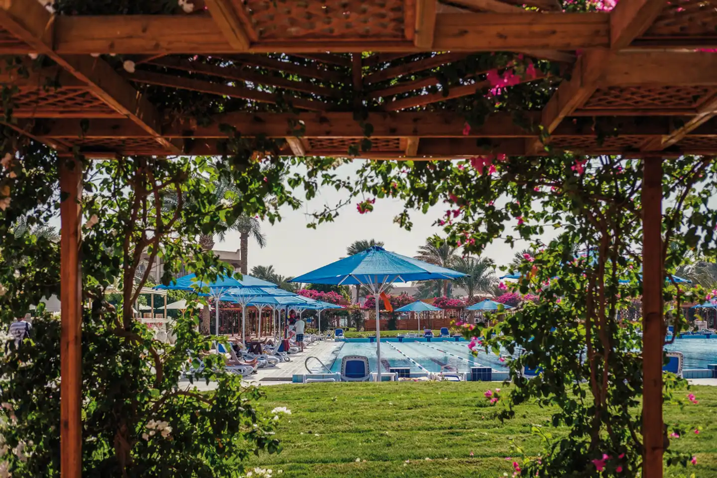 Desert Rose Resort Garten