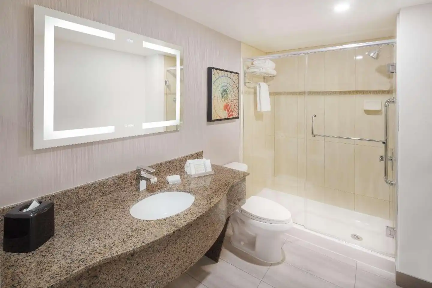 Hilton Garden Inn Montreal Centre-Ville Badezimmer