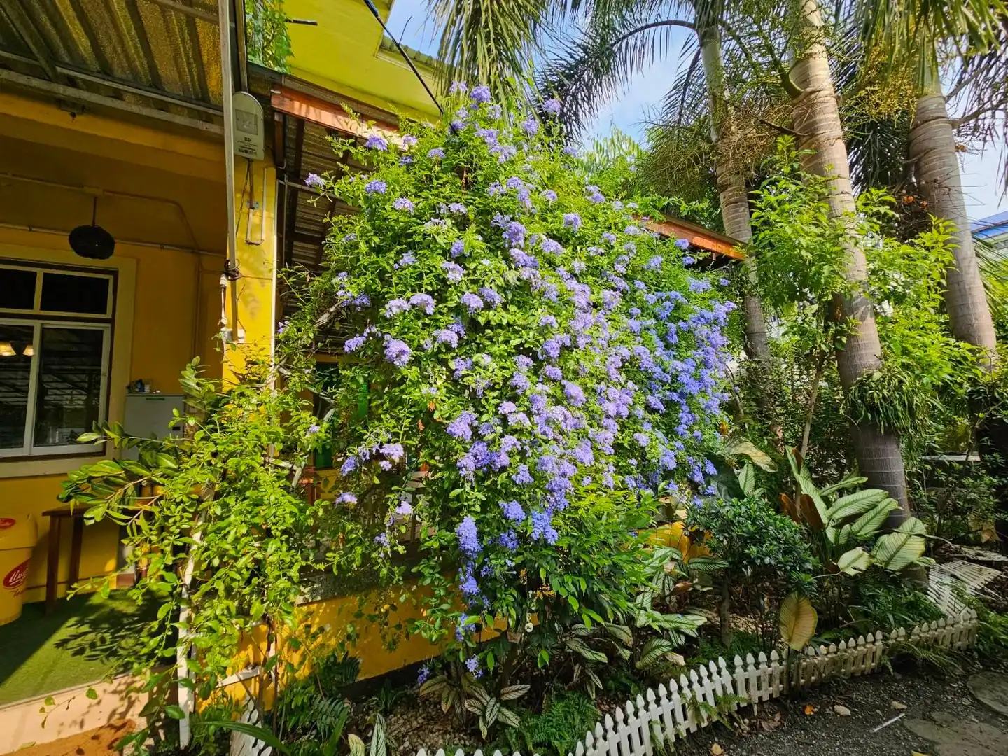 Suan Tung Coffee Garten