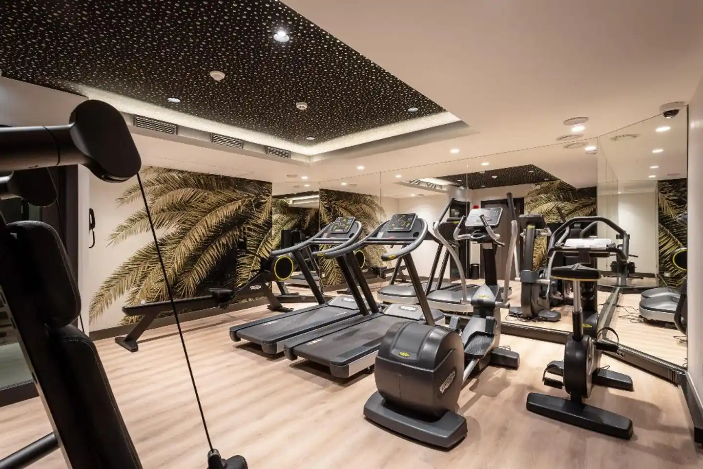 voco Strasbourg Centre - The Garden Sport und Entertainment