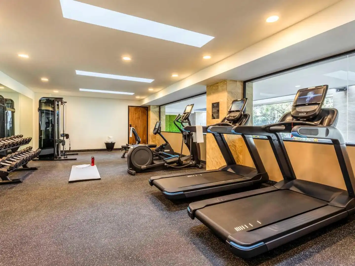 Novotel México City Centro Histórico Sport und Entertainment