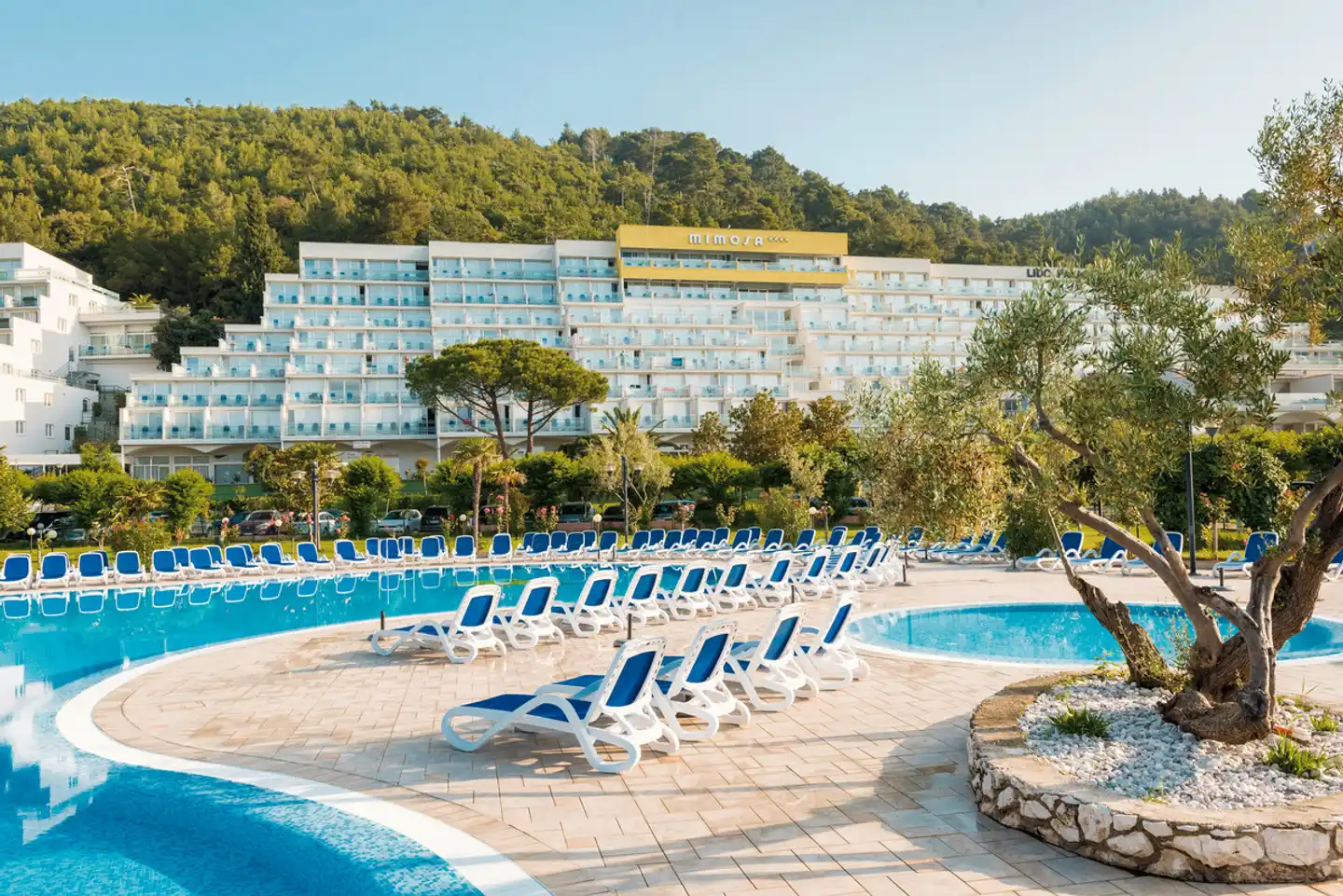 Mimosa & Lido Palace Pool