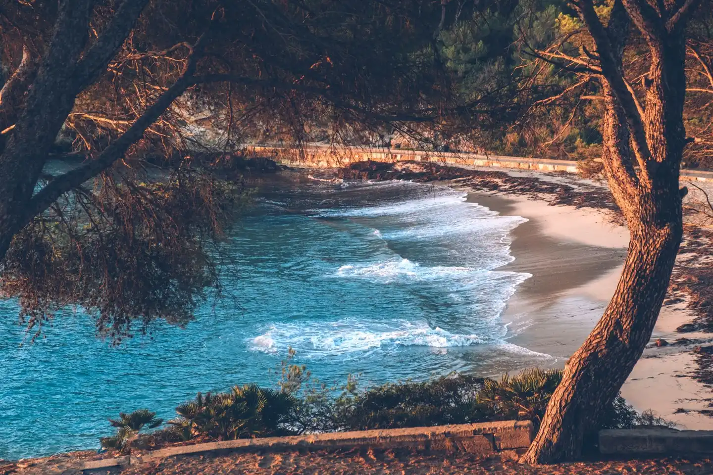 Iberostar Waves Pinos Park SCENERY