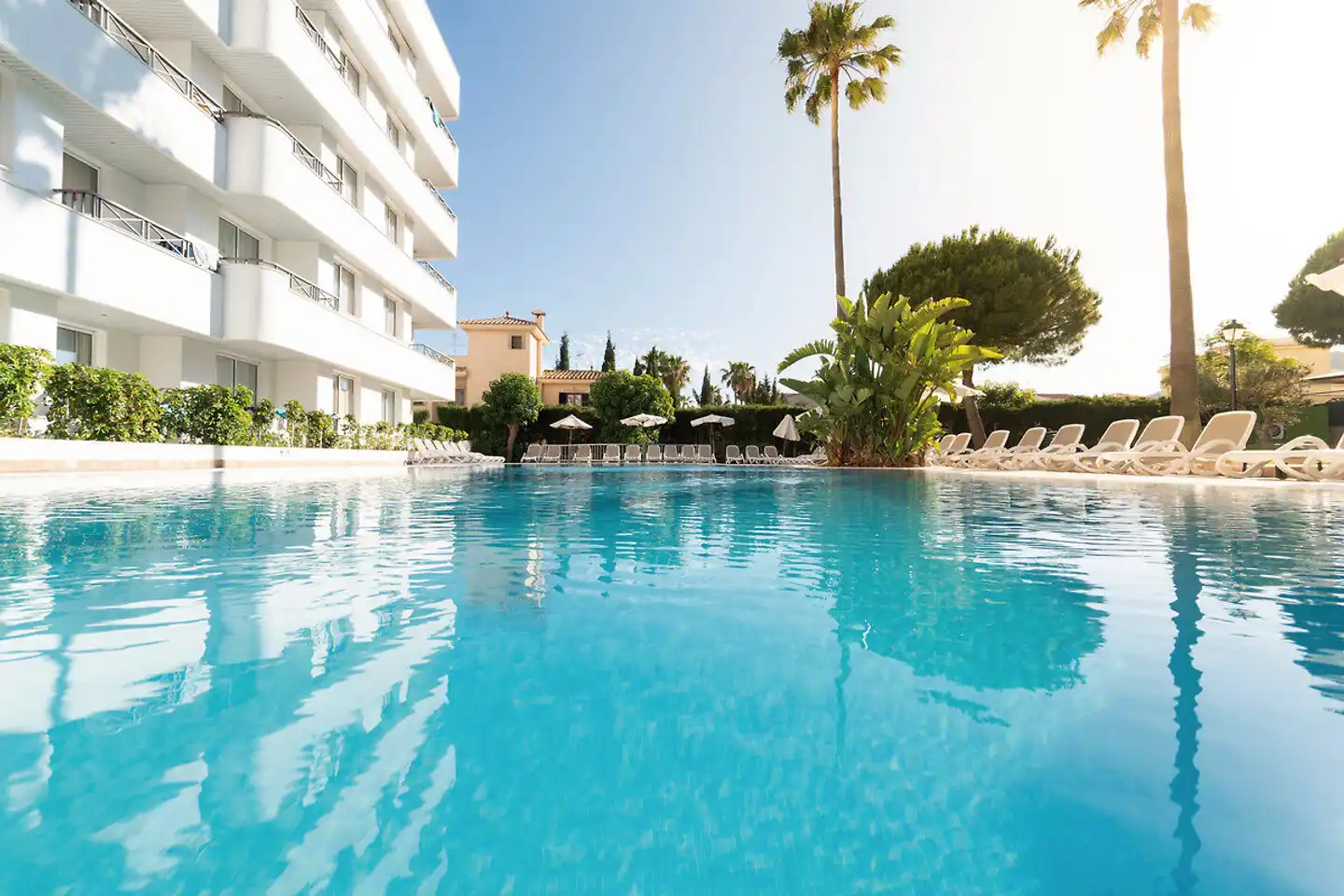 Tropicana Pool