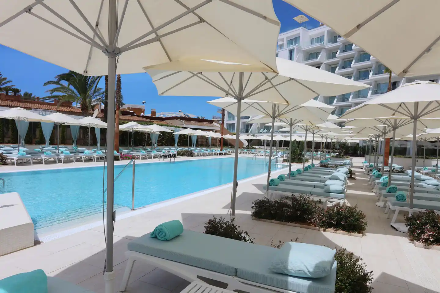 Iberostar Selection Playa de Palma POOL