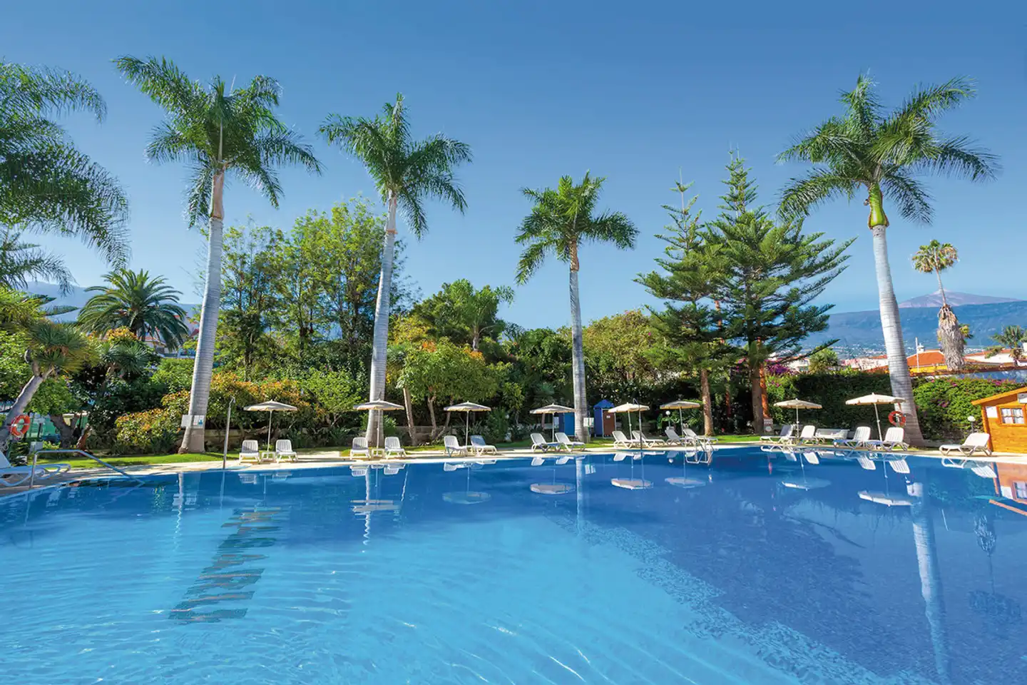 Apartamentos Masaru Pool