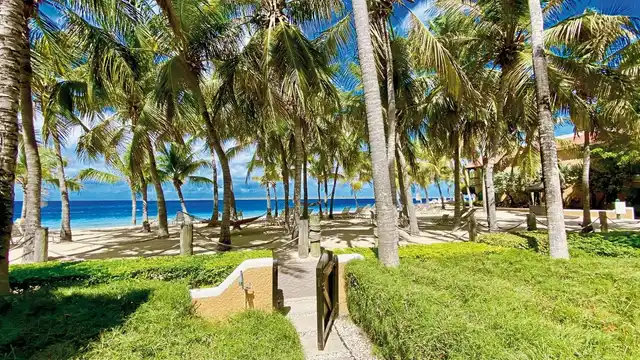 Harbour Village Beach Club Garten