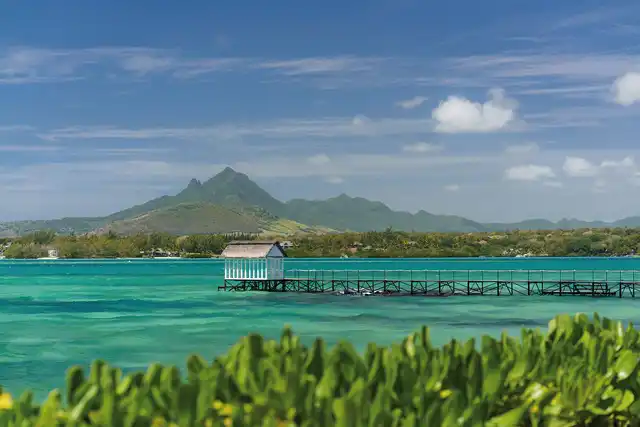 Tropical Attitude Landschaft