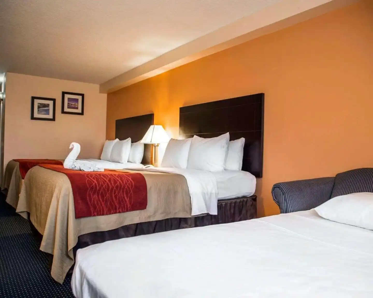 Comfort Inn International Wohnbeispiel