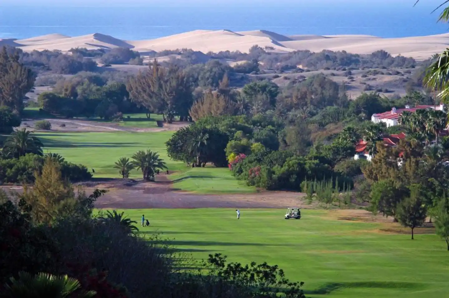 Dunaoasis Maspalomas Landschaft