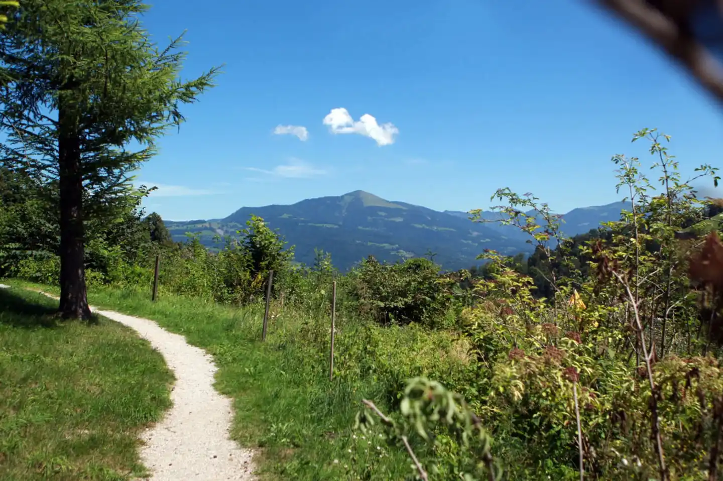 Kurhotel St. Josef Landschaft