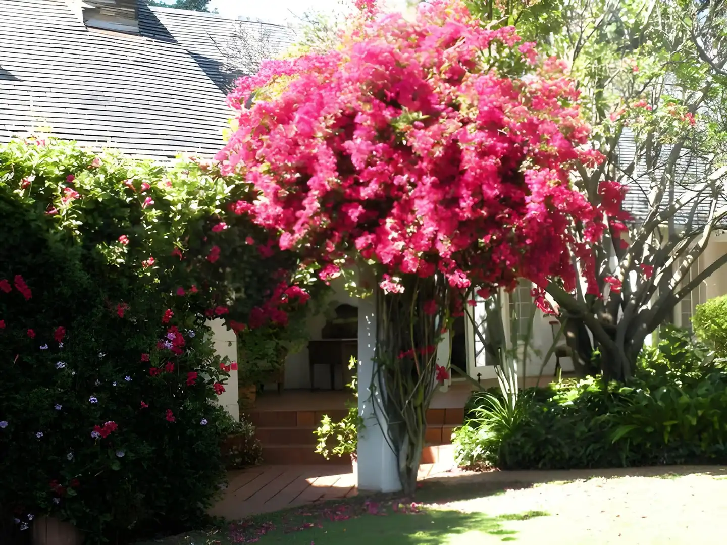 Melrose Place Guest Lodge Aussenansicht