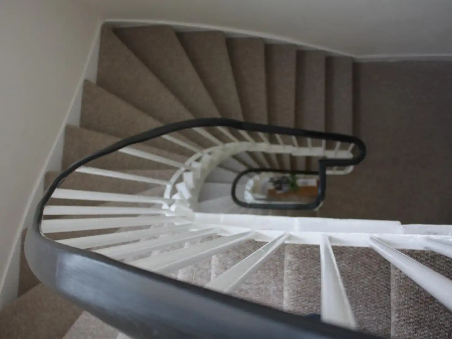 Edinburgh Holiday Guest House Konferenz