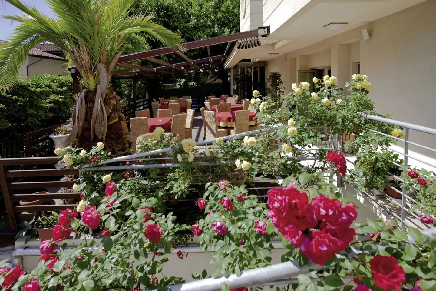 Hotel Rondinella Garten