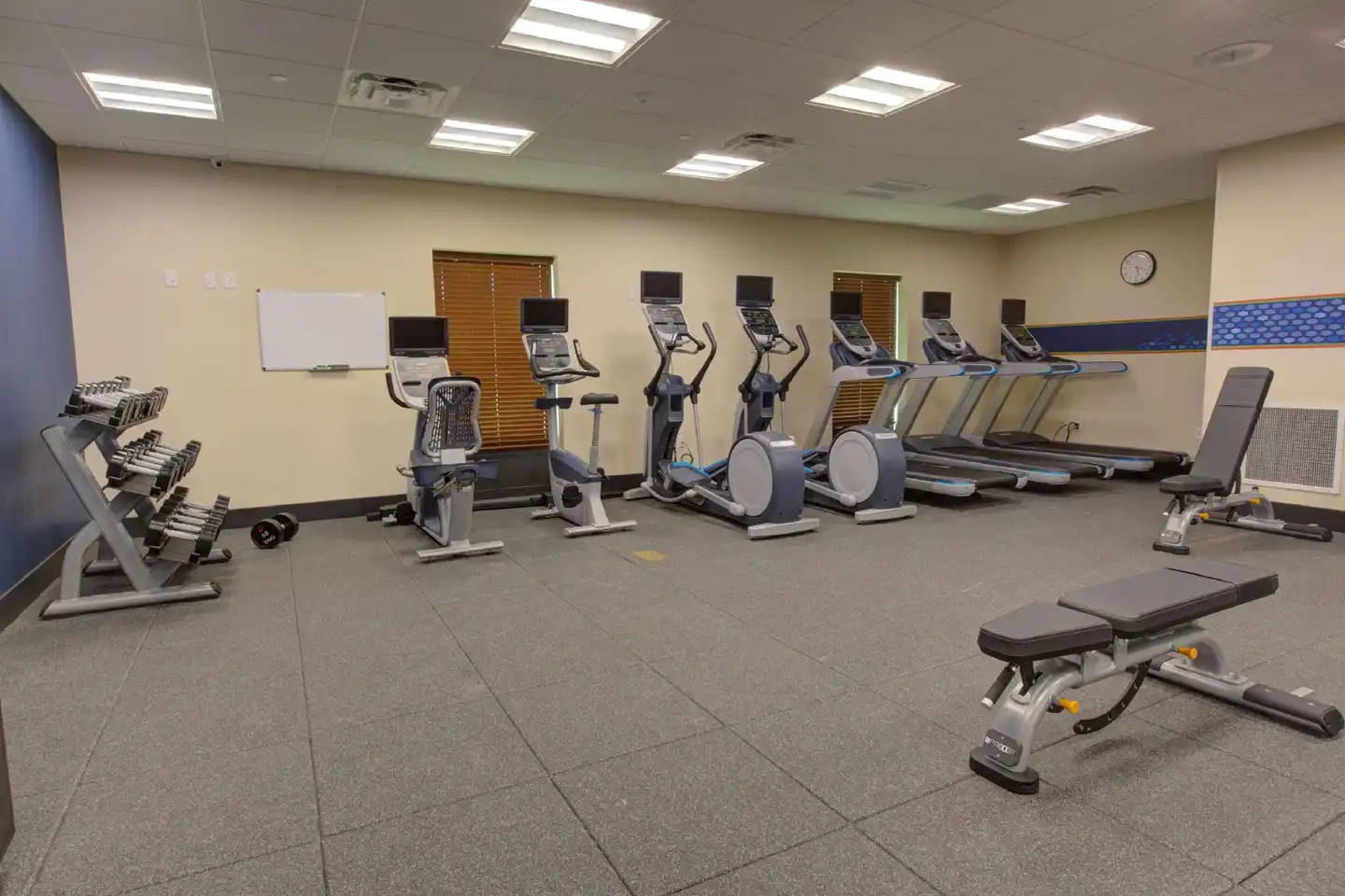 Hampton Inn & Suites Tampa Busch Gardens Area Sport und Entertainment