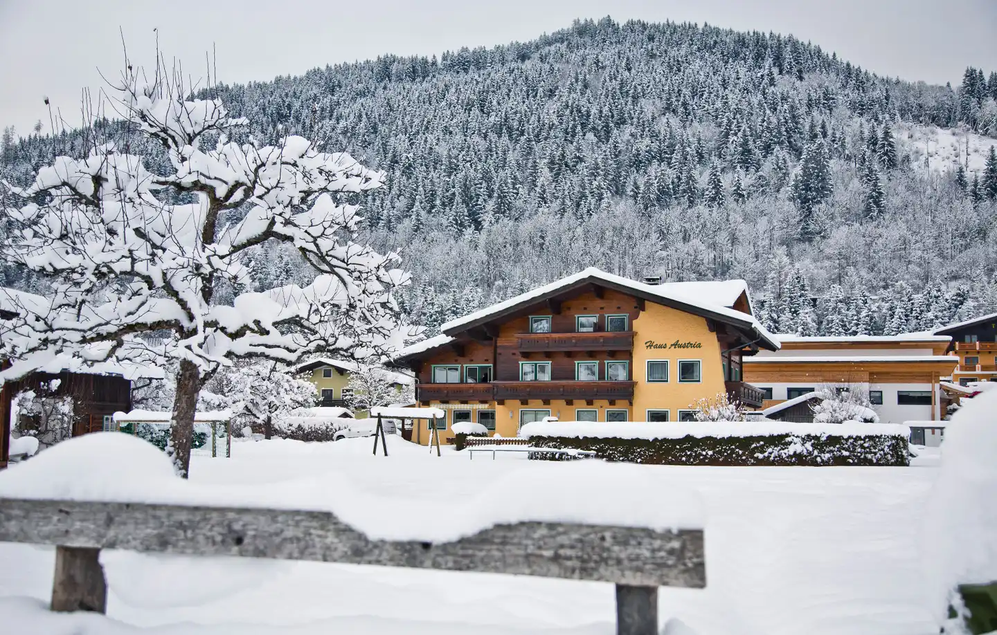 Haus Austria Aussenansicht