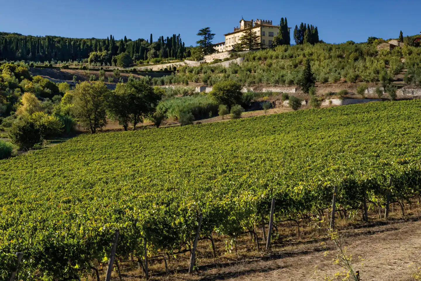 Torre A Cona Landschaft