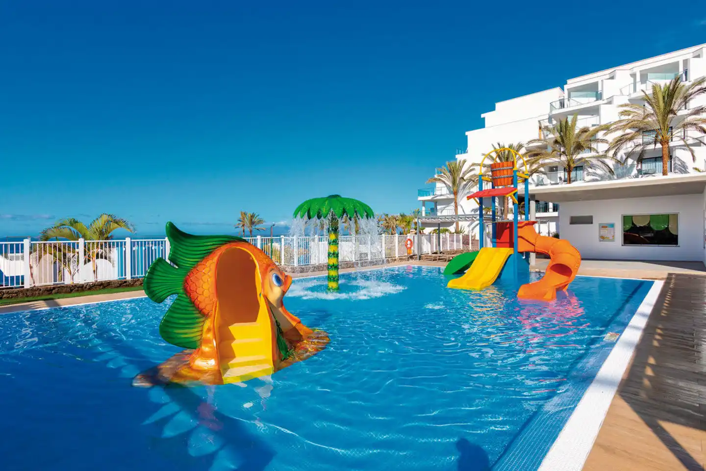 Riu Buenavista Pool