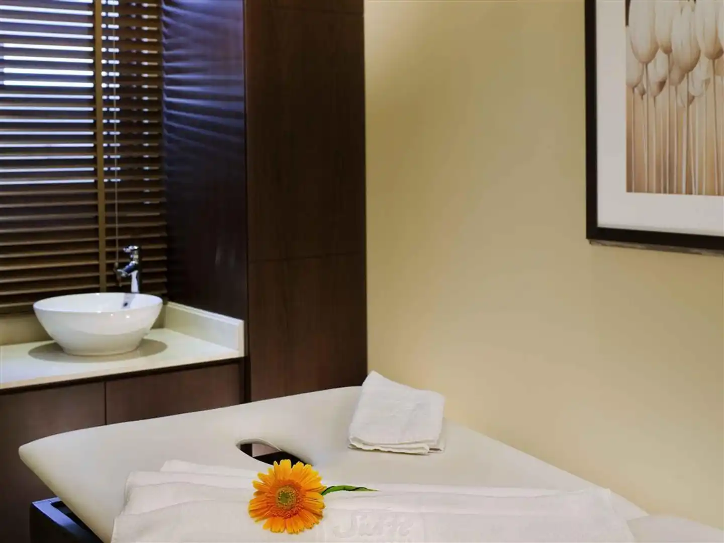 Novotel Suites Mall Avenue Dubai Wellness