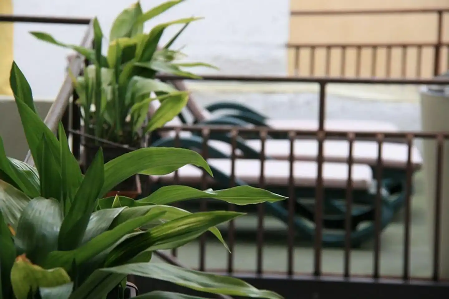 Modena Terrasse