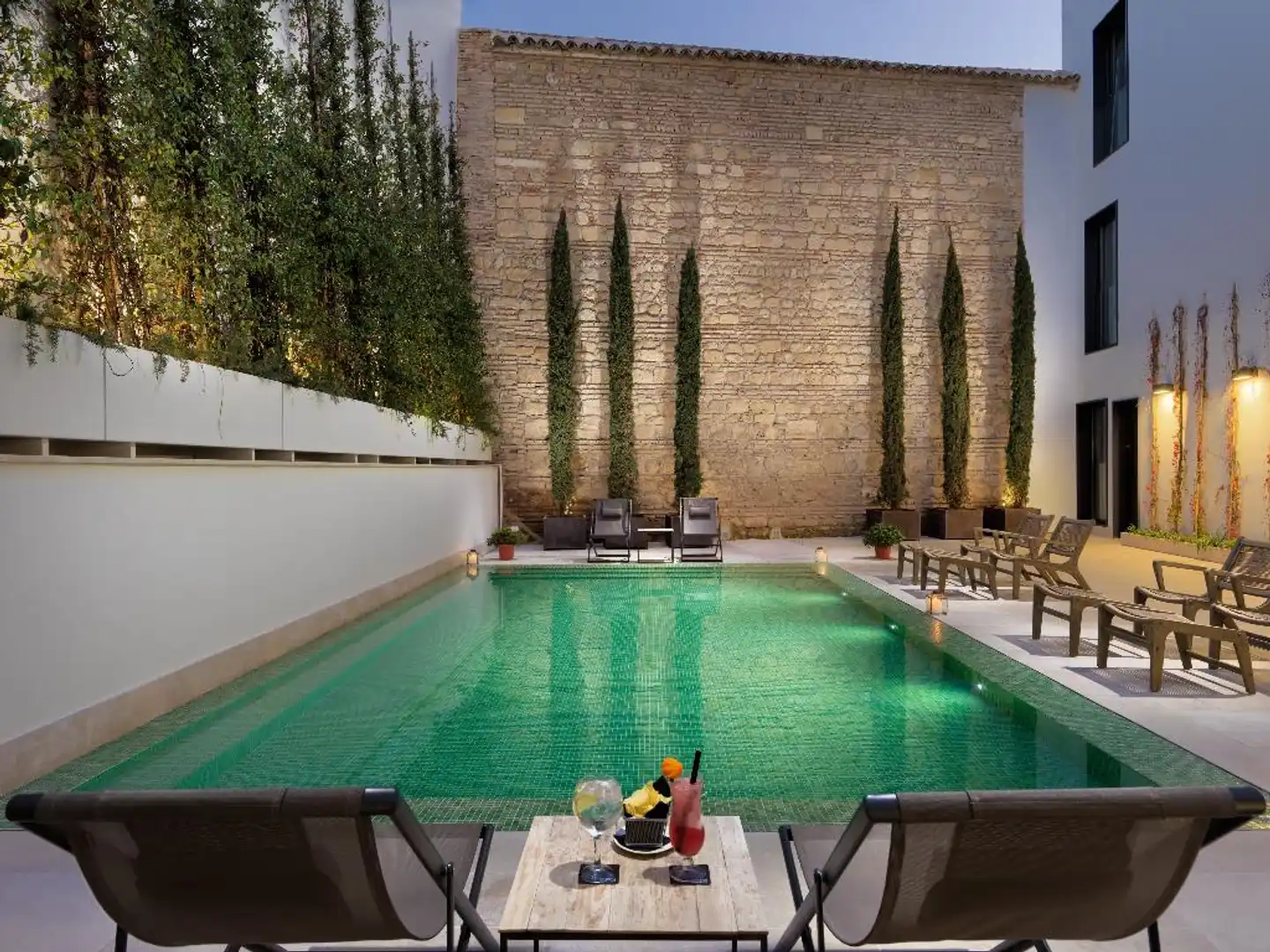 H10 Palacio Colomera Pool