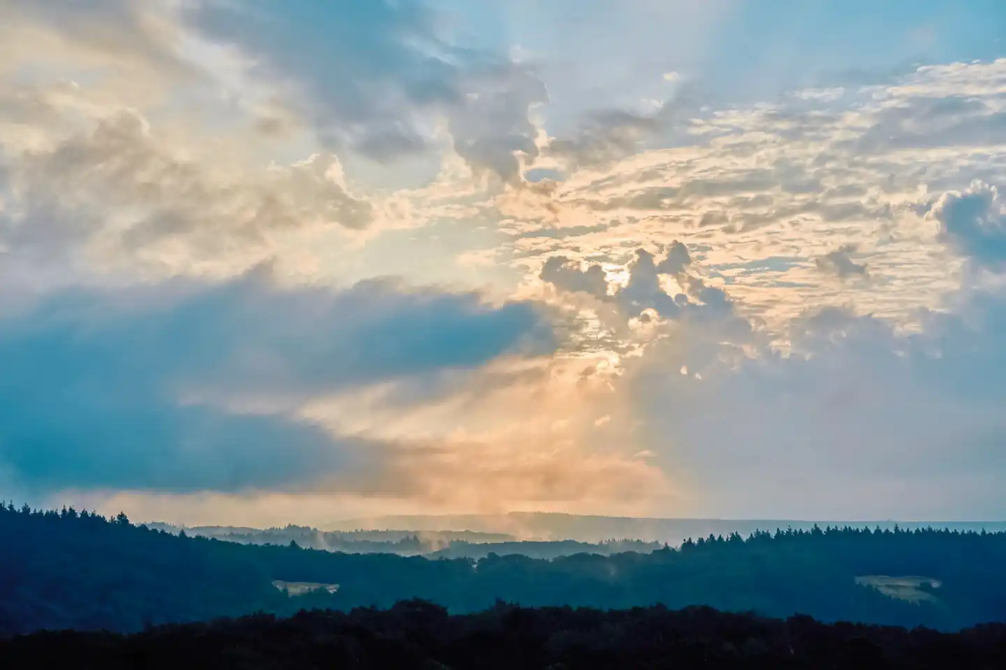 WALD.WEIT Rheingau Hotel & Retreat Landschaft