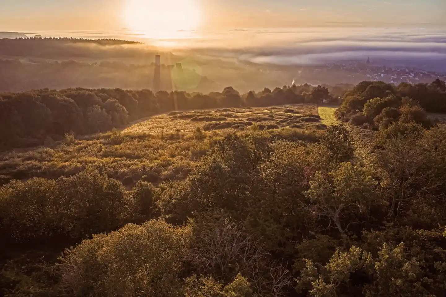 WALD.WEIT Rheingau Hotel & Retreat Landschaft