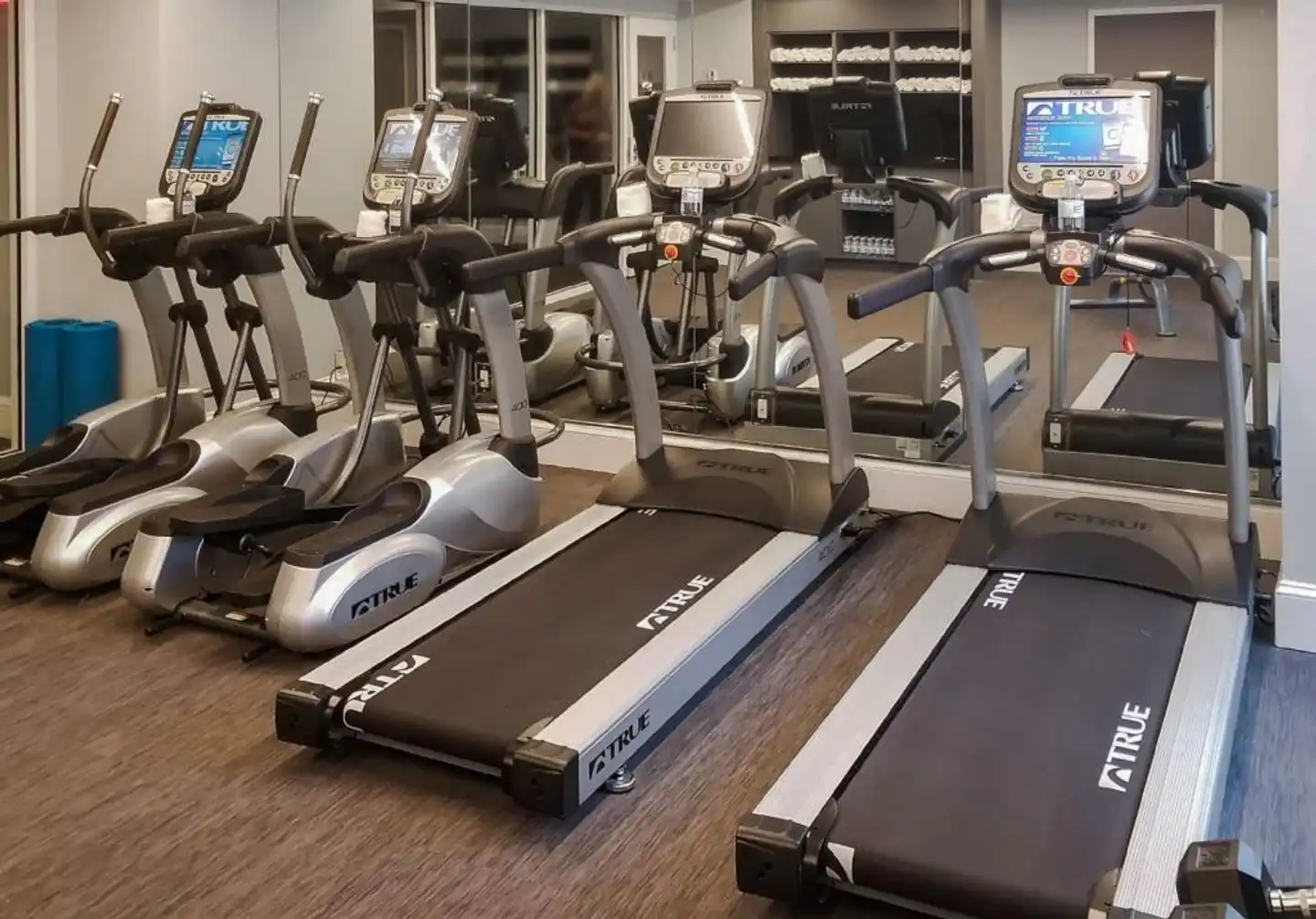 Hampton Inn & Suites New Orleans Canal St. French Quarter Sport und Entertainment