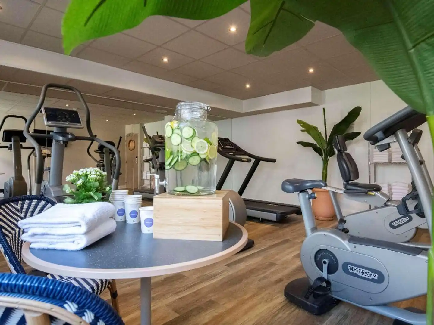 Novotel Suites Nice Airport Hotel Sport und Entertainment