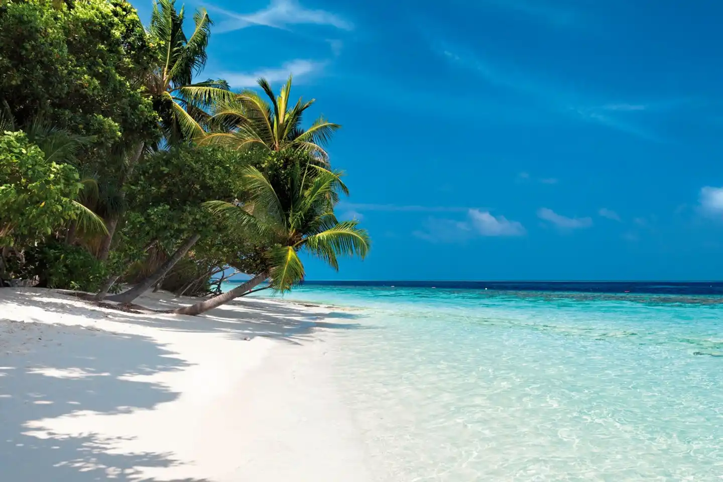 Vilamendhoo Island Resort & Spa Strand