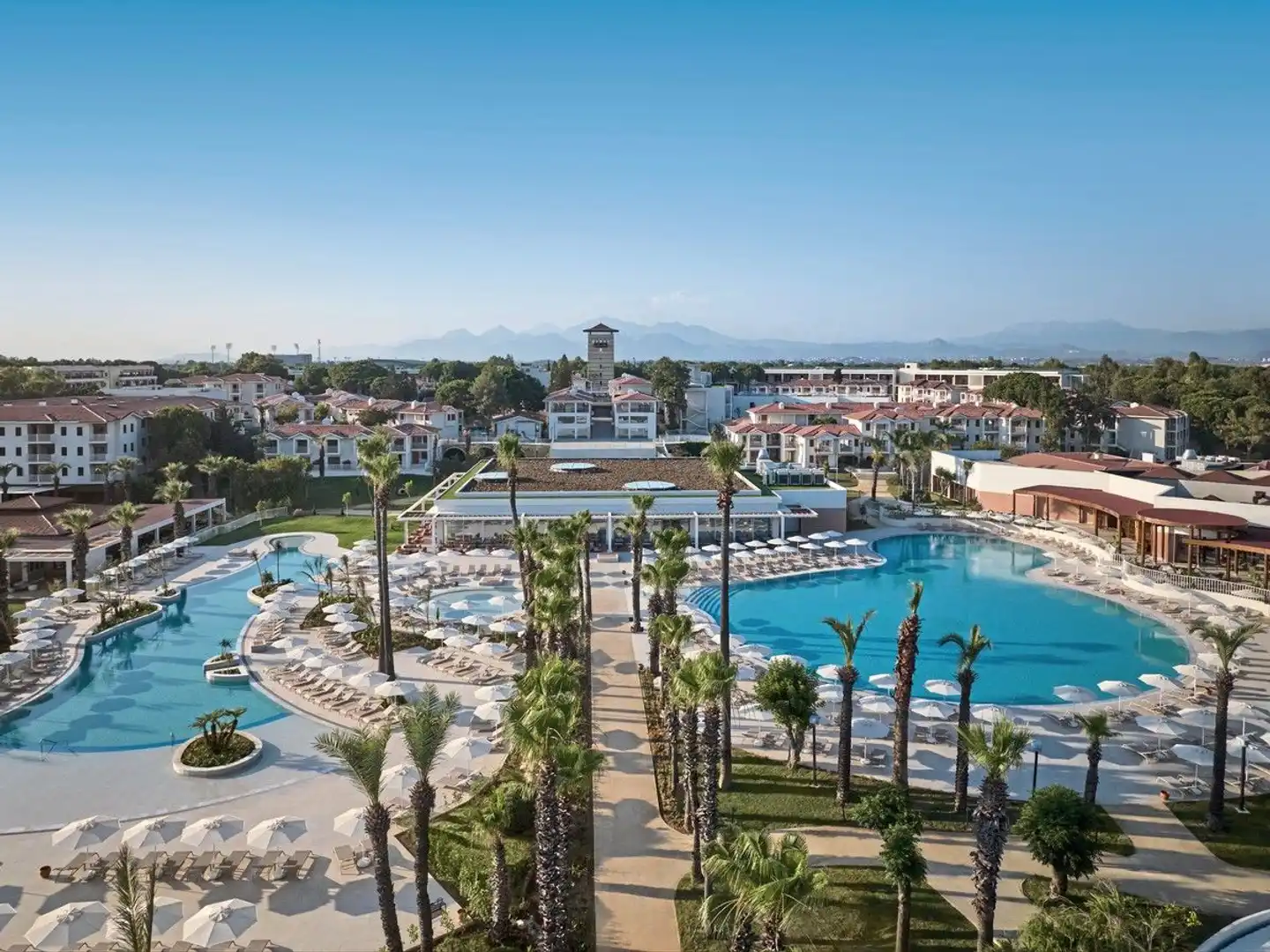 Paloma Grida Pool
